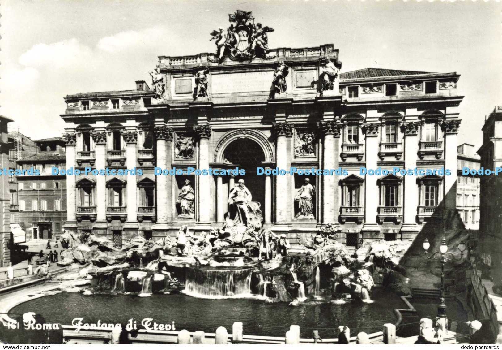D143414 161 Roma Fontana di Trevi Belvedere