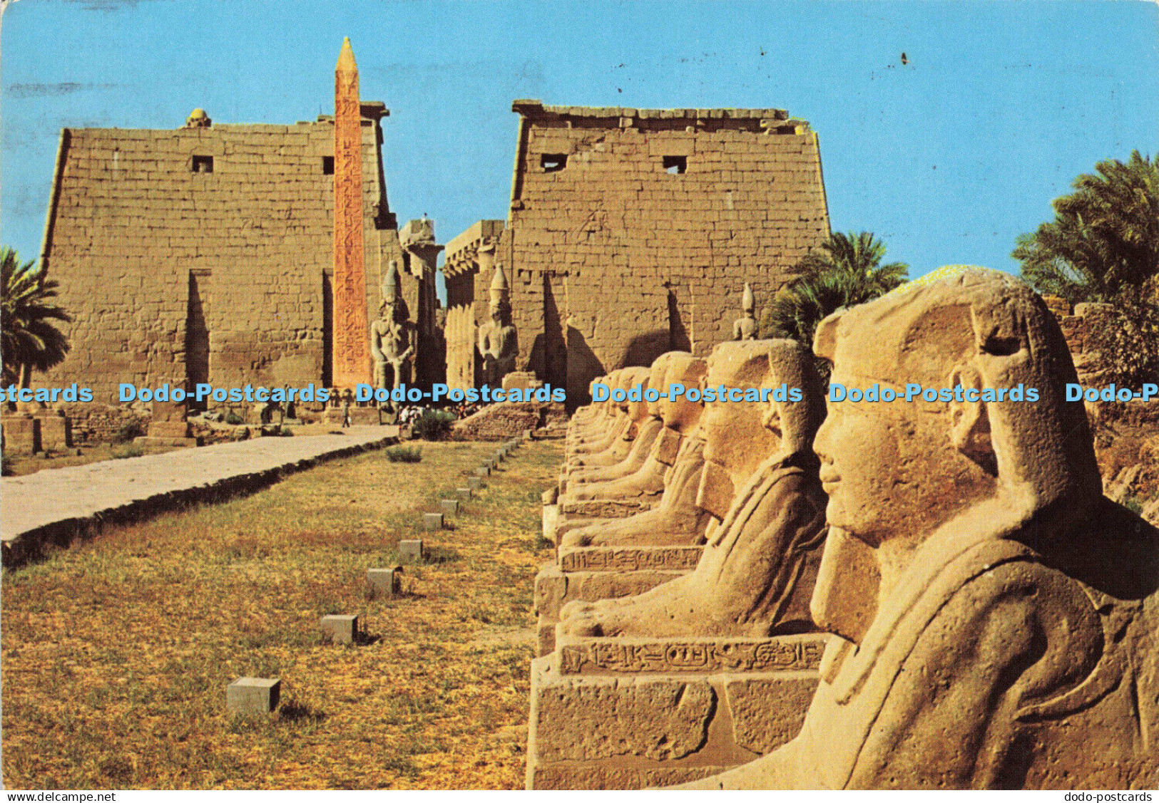 D147801 Luxor. Sphinxes Avenue at Luxor Temple. Al Ahram. Dino Sassi