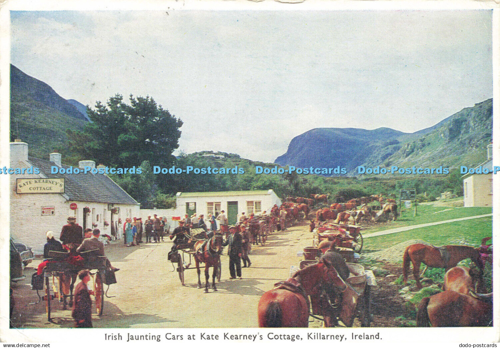 D150115 Ireland. Irish Jaunting Cars at Kate Kearney Cottage. Killarney. Cardall