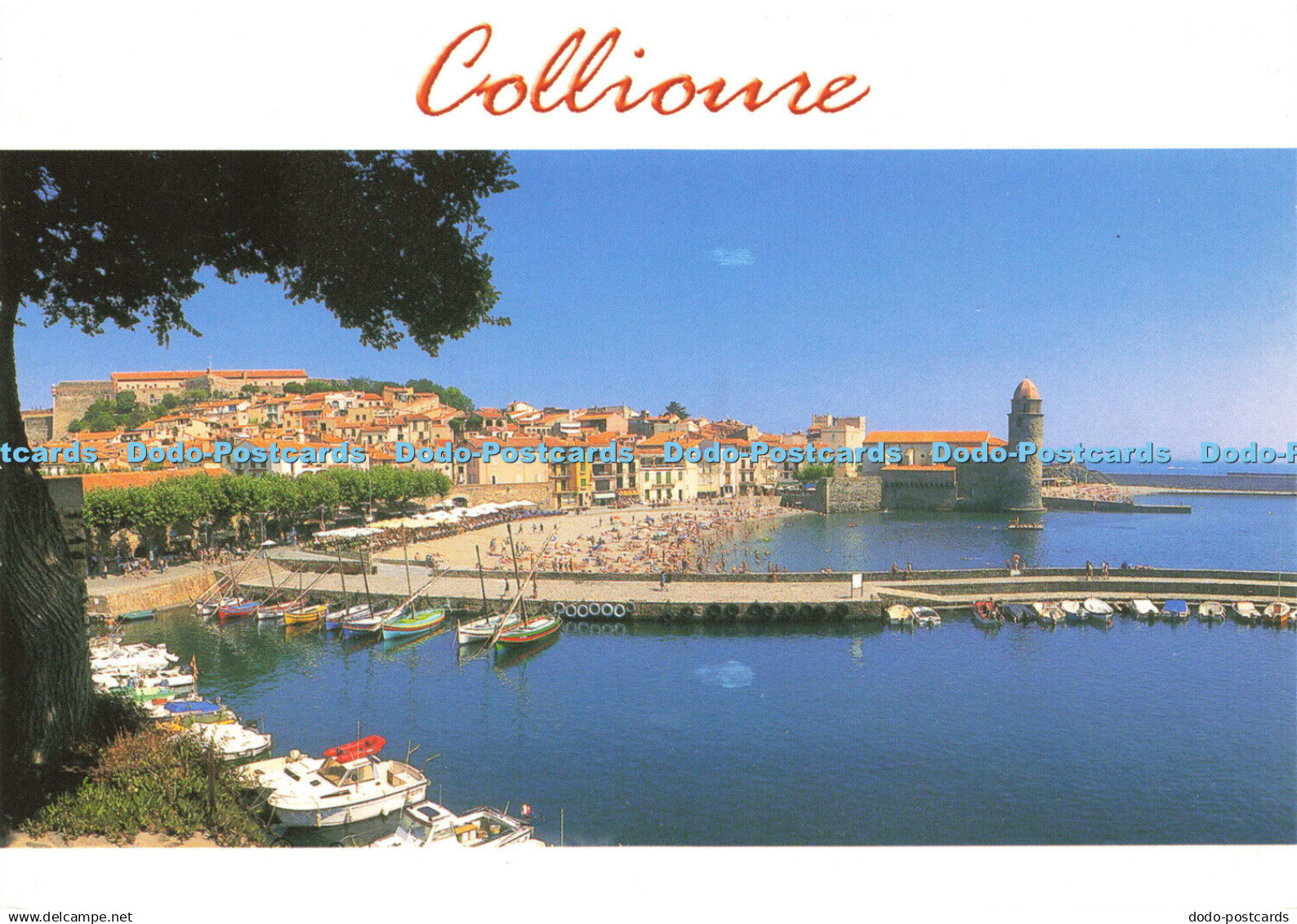 D150768 Collioure. Cely. Zanzibar. Postcard