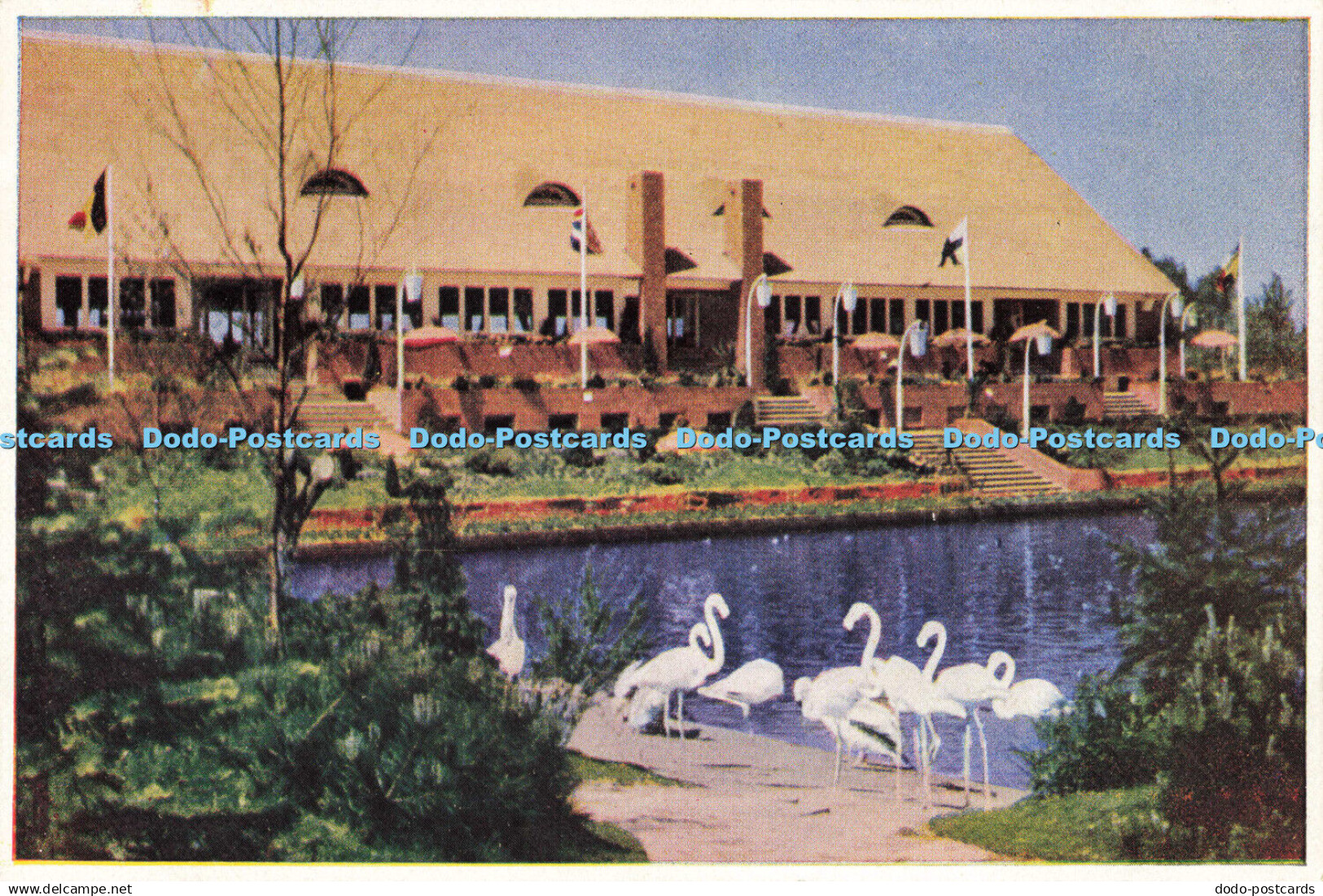 D156022 Holland. Avifauna. Alphen aan der Rijn. Restaurant Met Vijver. C. Haasbe