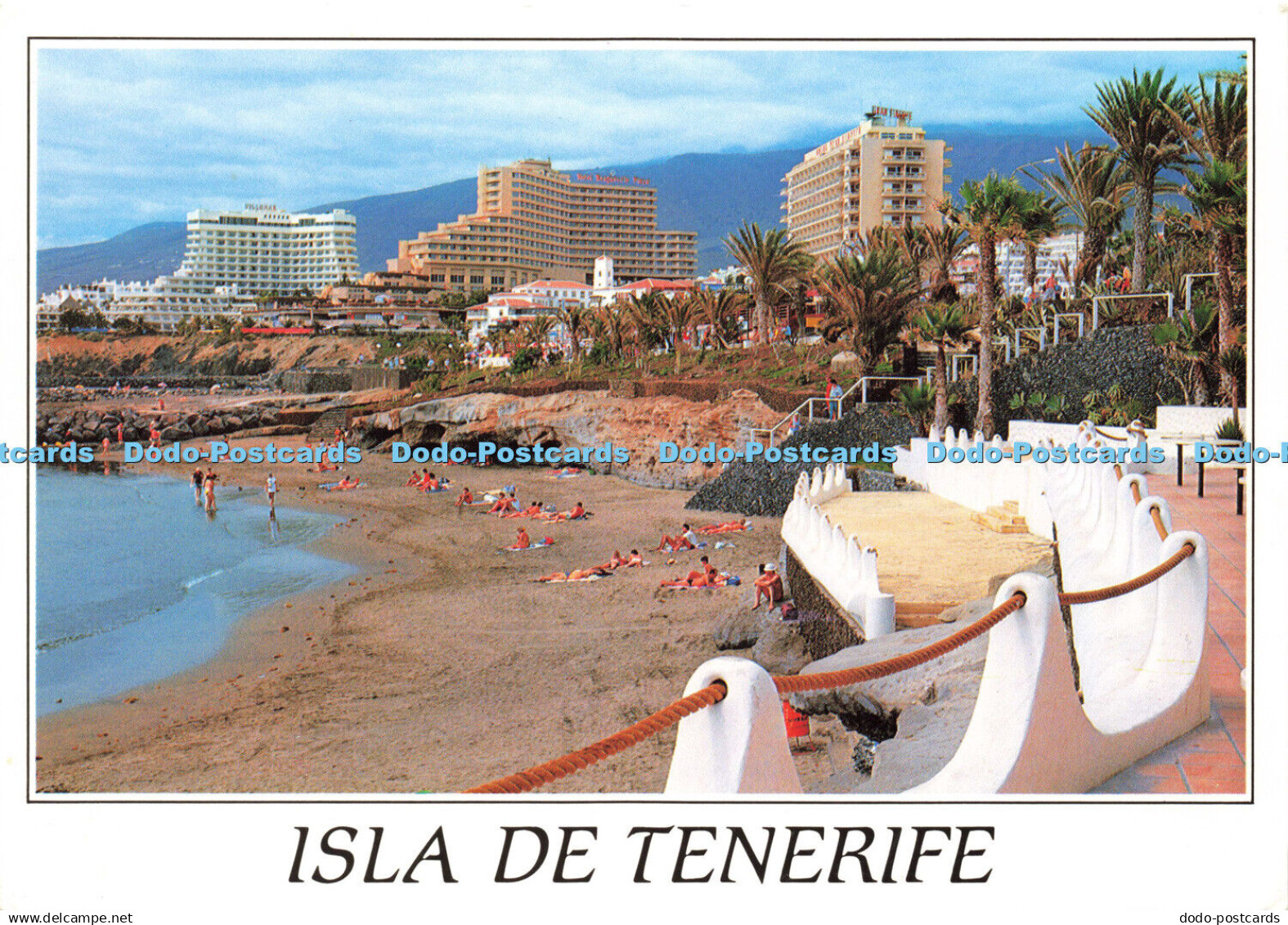 D158781 Isla de Tenerife. A. Campana