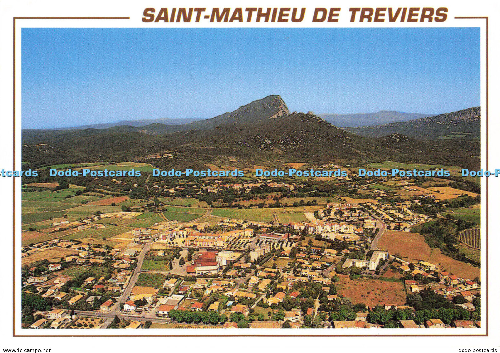 D166578 Saint Mathieu de Treviers. Meridionales