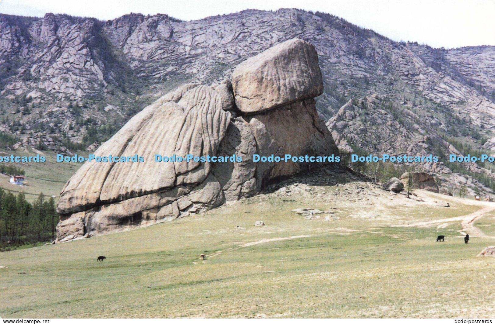 D169862 Terelj. Turtle Rock. Outer Mongolia. Anne Naylor. Just Postcards