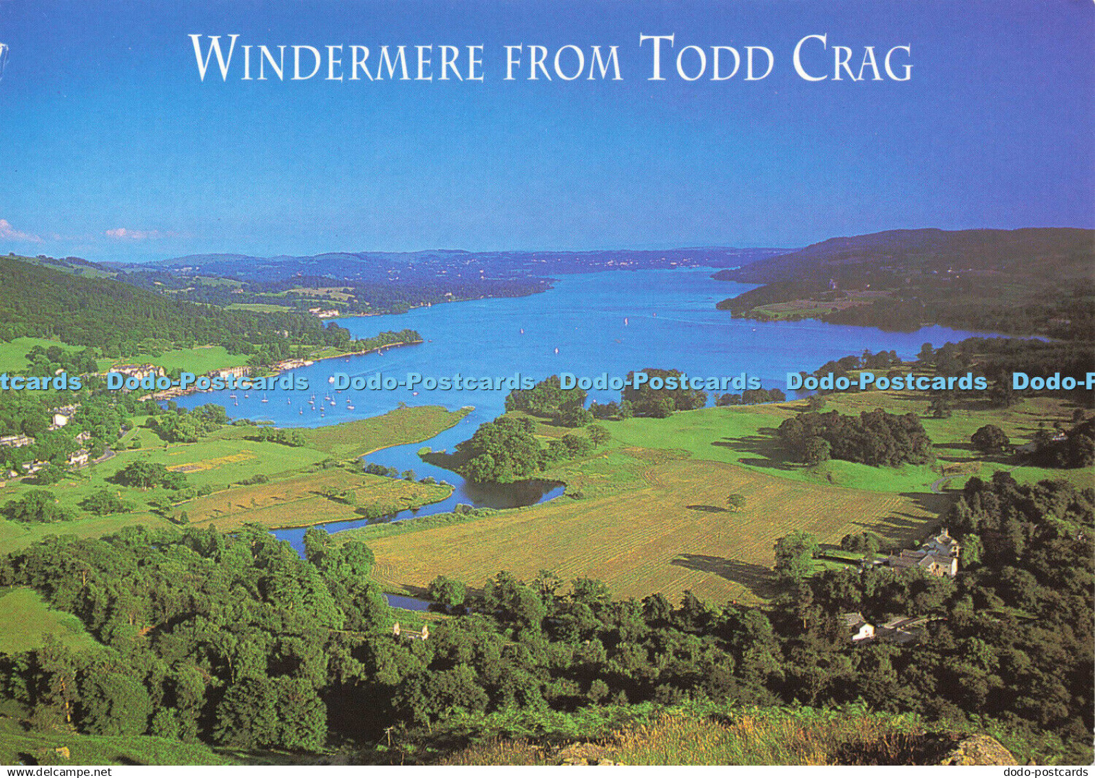 D175439 Windermere from Todd Crag. The Head of Windermere. from Loughrigg Fell.