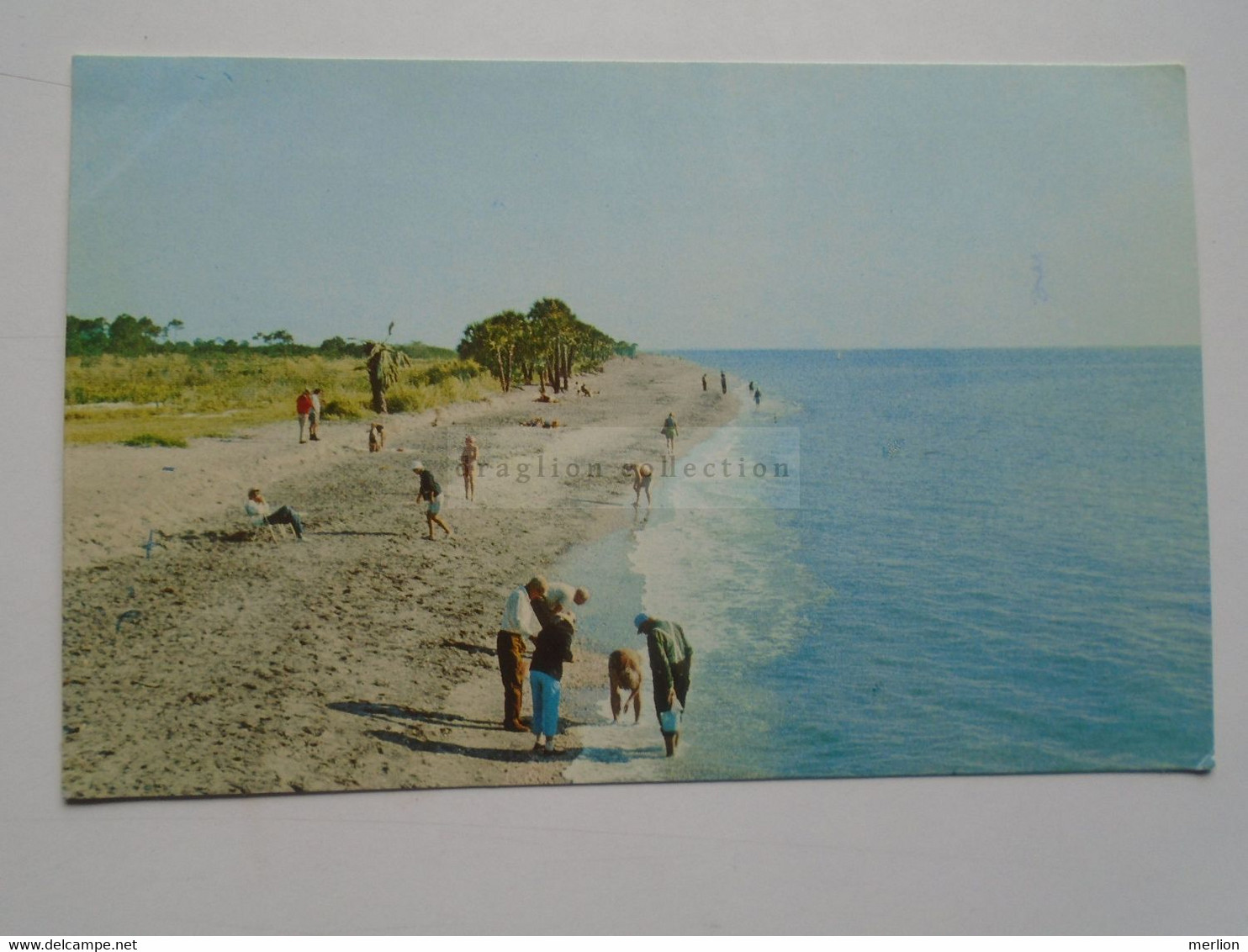 D178242    VENICE - Beautiful Venice Beach   - Florida