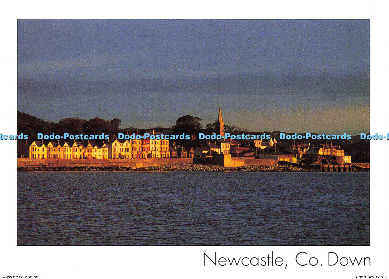 D180559 Newcastle Co. Down. Insight Cards