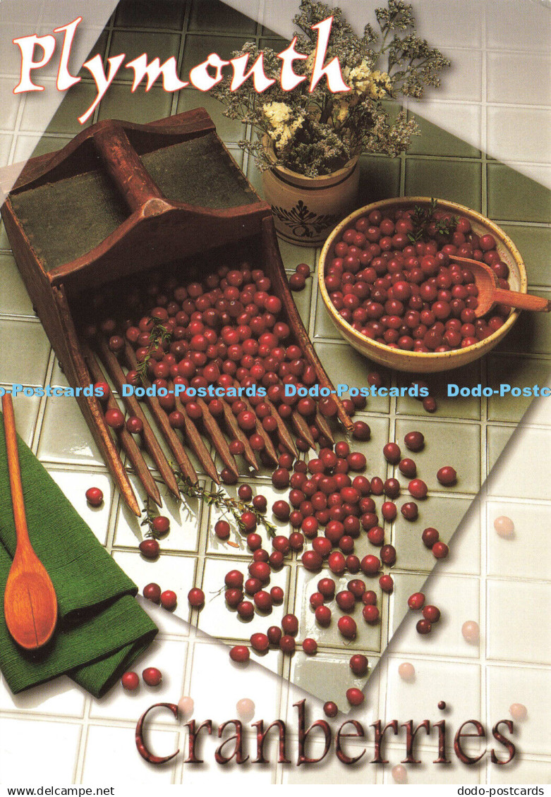 D186033 Plymouth Cranberries. Plymouth Scenics. Meds Maps. Carol Christensen