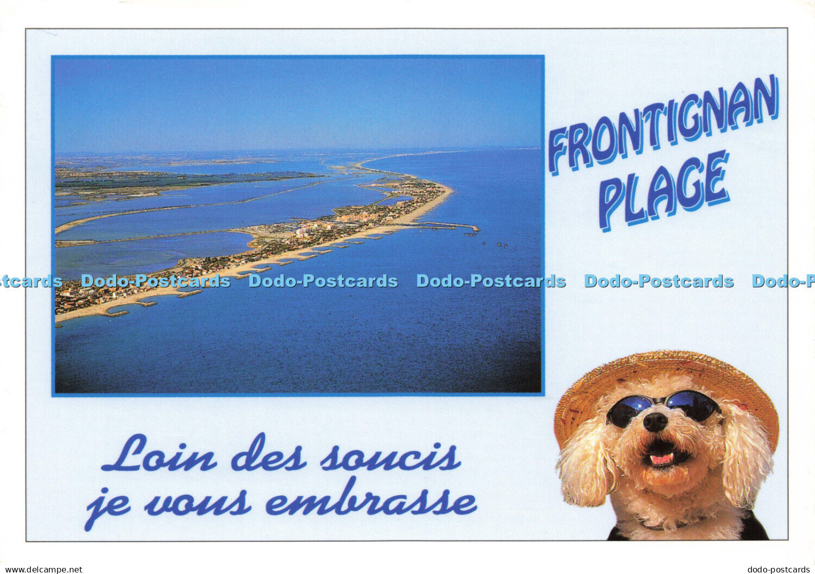 D190554 Frontignan Plage. Loin des soucis je vous embrasse. Littoral Mediterrane