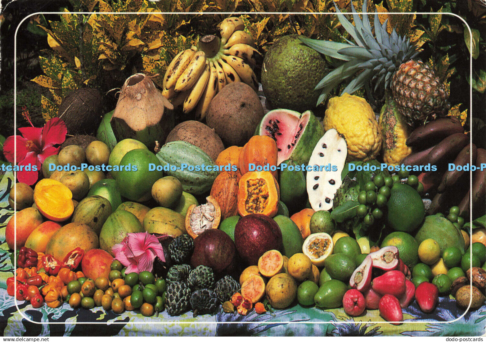 D190703 Fruits. Des Antilles