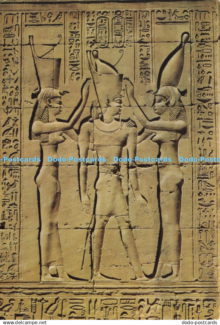 D193634 Edfu Horus Temple Pharaos Coronation Kruger Egyptian General Organizatio