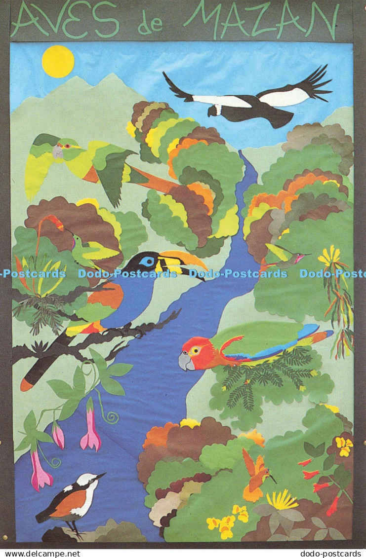 D193921 Birds of Mazan Aves de Mazan Rio Mazan Project Sale of this postcard hel