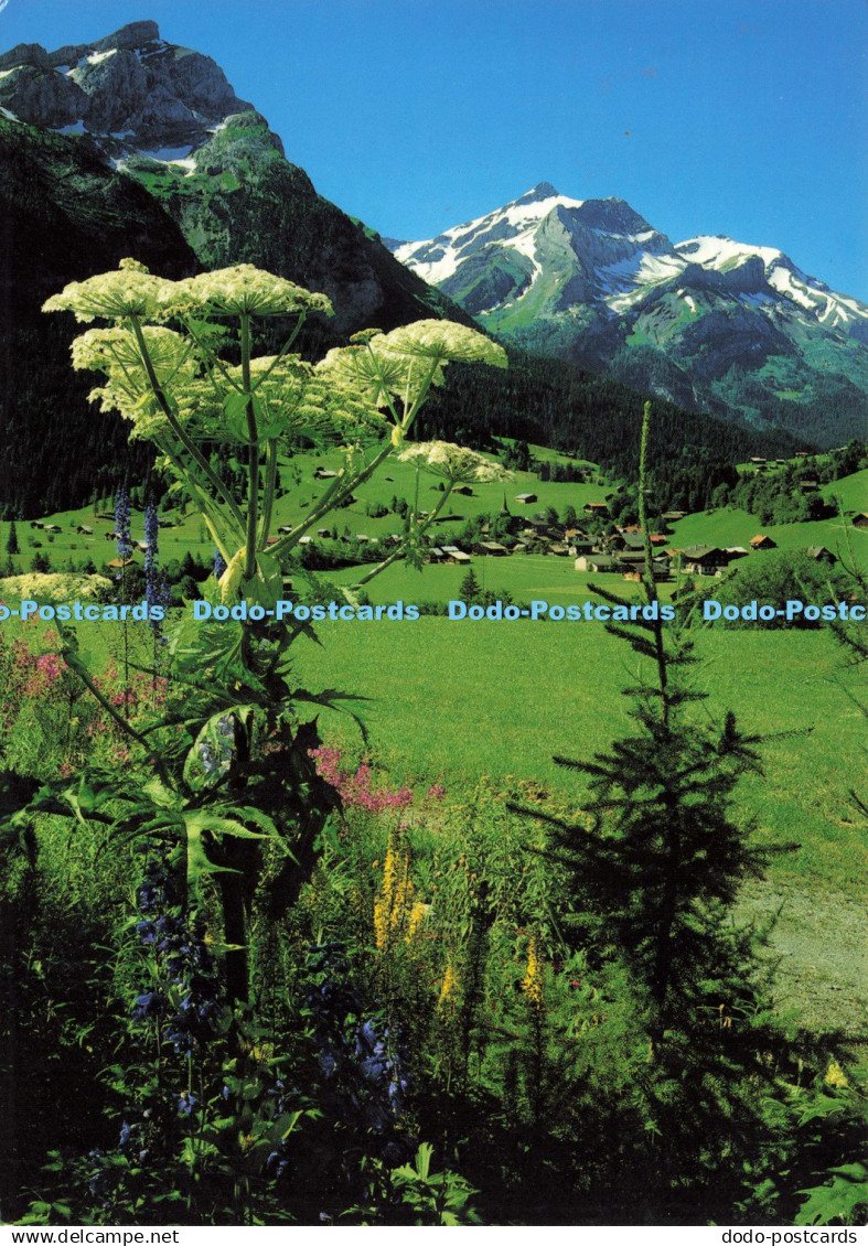 D193952 Gsteig bei Gstaad Oldenhorn Photoglob Zurich Vevey