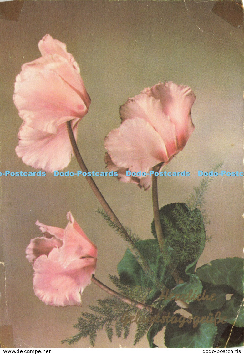 D194207 Flowers Horn 1961