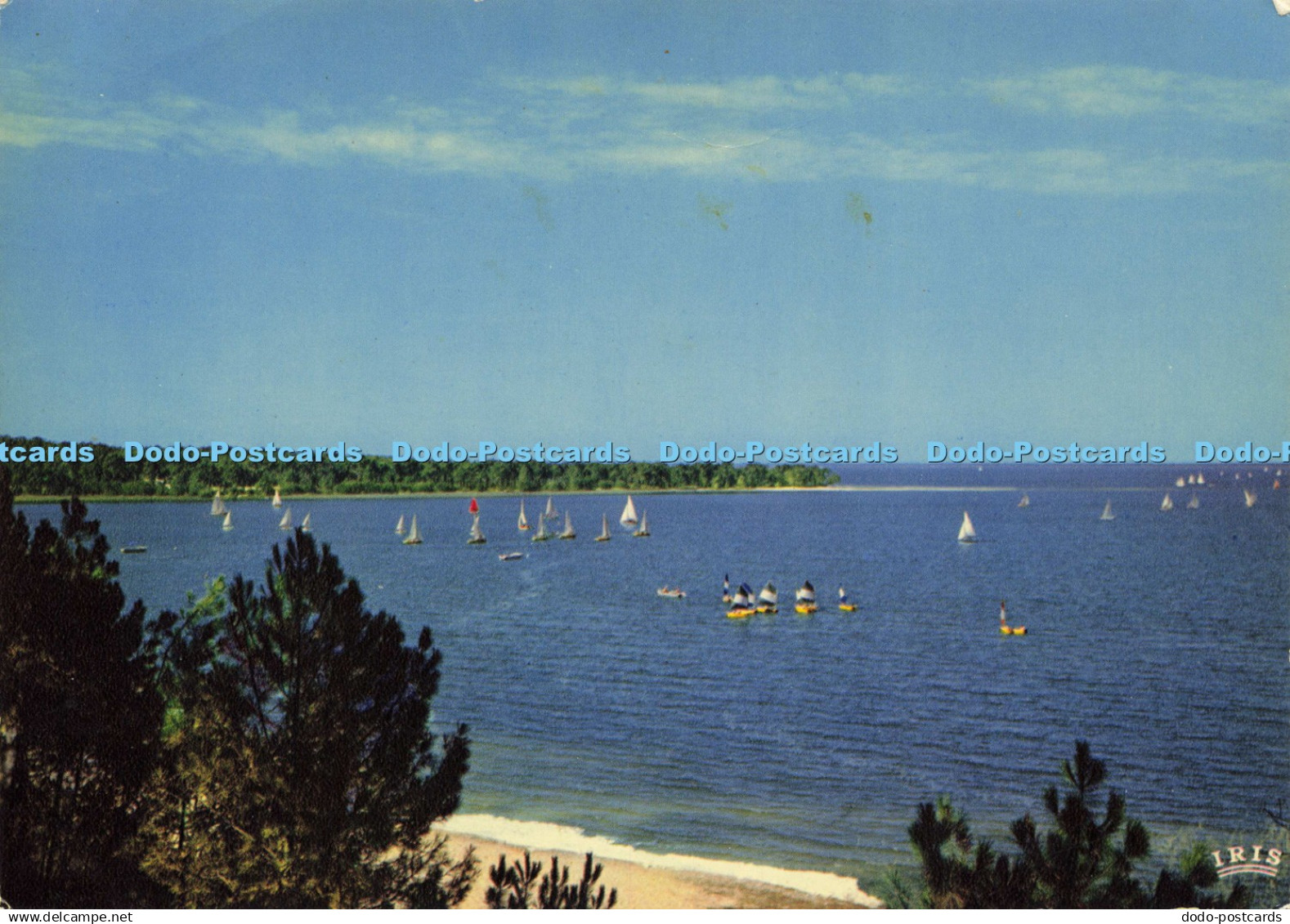 D194883 Cote Aquitaine Maubuisson Bombannes Gironde le Lac Theojac Mexichrome
