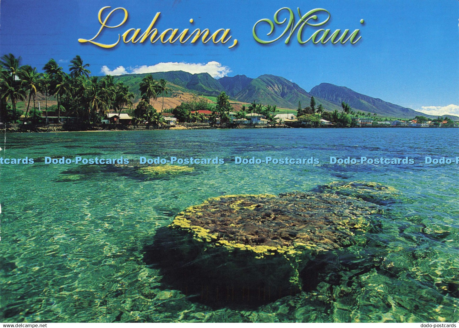 D194884 Memories of Maui Crystal Clear Waters off the Lahaina Shores The Islande