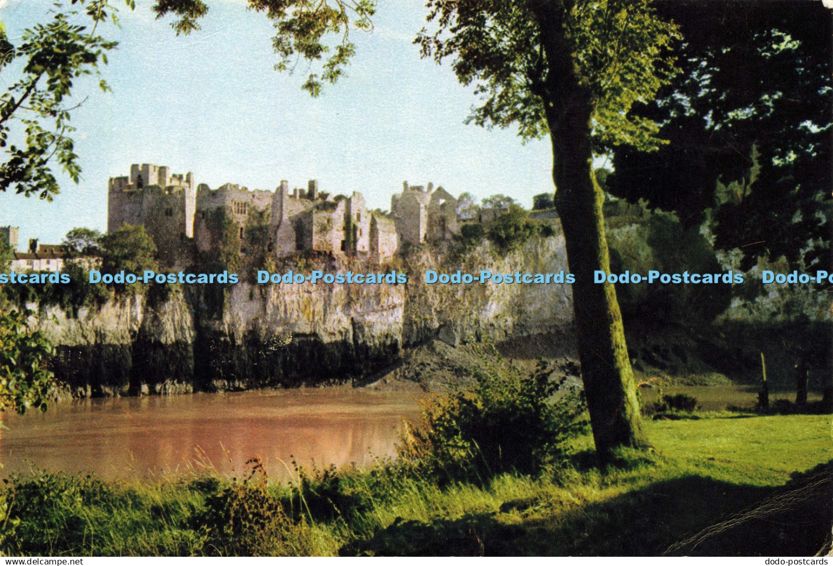 D194959 Monmouthshire Chepstow Castle J Arthur Dixon 1974