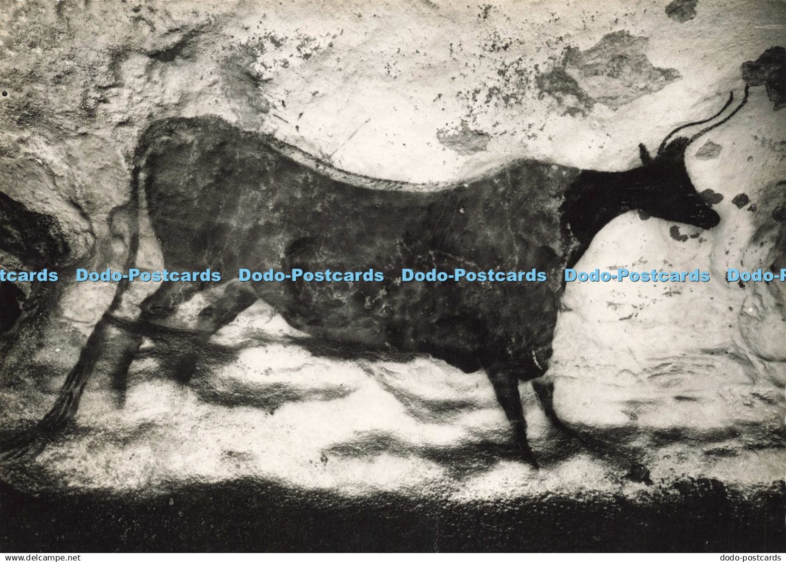 D196918 Grotte Prehistorique de Lascaux Montignac sur Vezere Windels