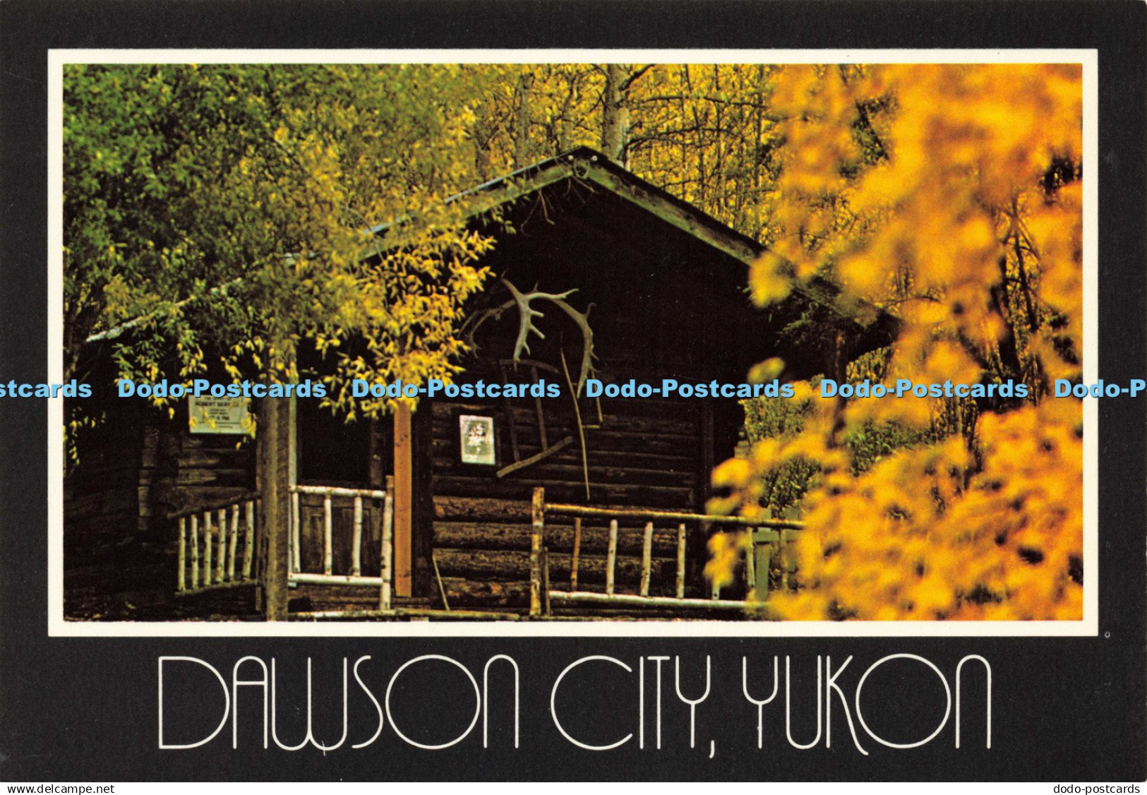 D197075 Dawson City Yukon Robin Services Cabin Dexter Color Studio North