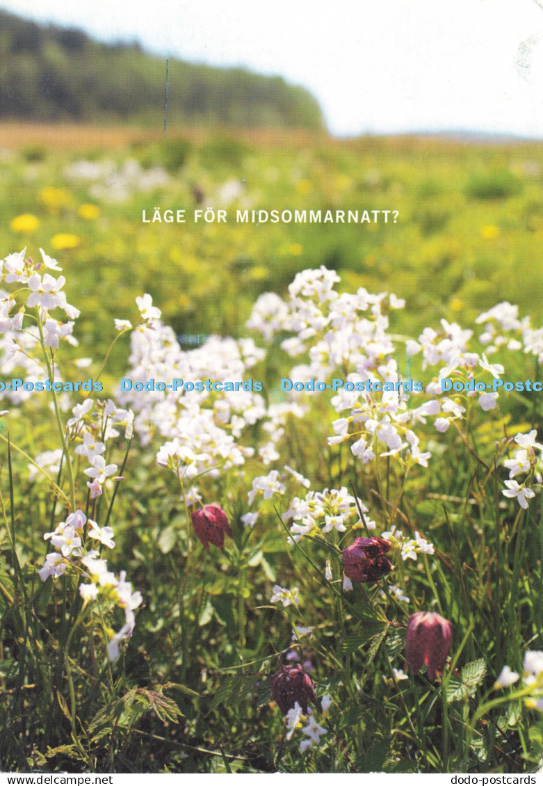 D199303 Lage for Midsommarnatt Svensk Fastighetsformedling