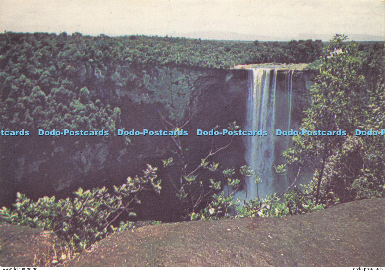 D199365 South America Guyana Kaieteur Fall Potaro River from Johnson View El Dor