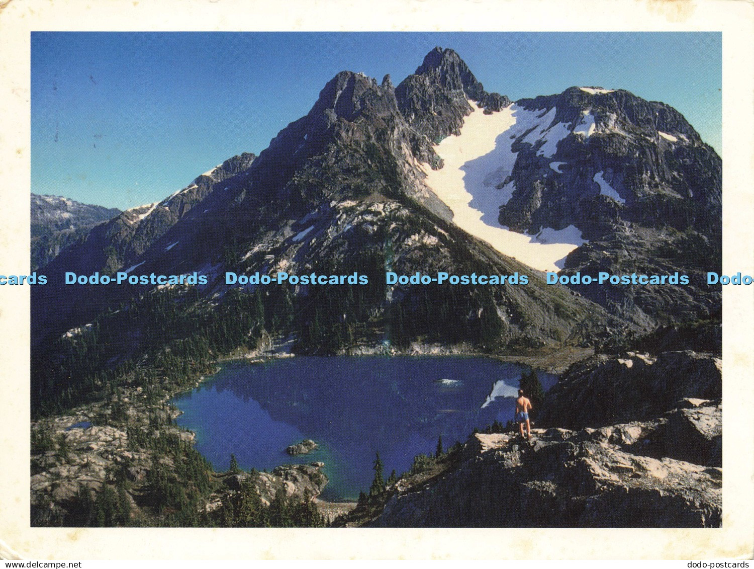 D199432 Vancouver Island Cream Lake Vancouver Island Postcards Stuart Lister 199