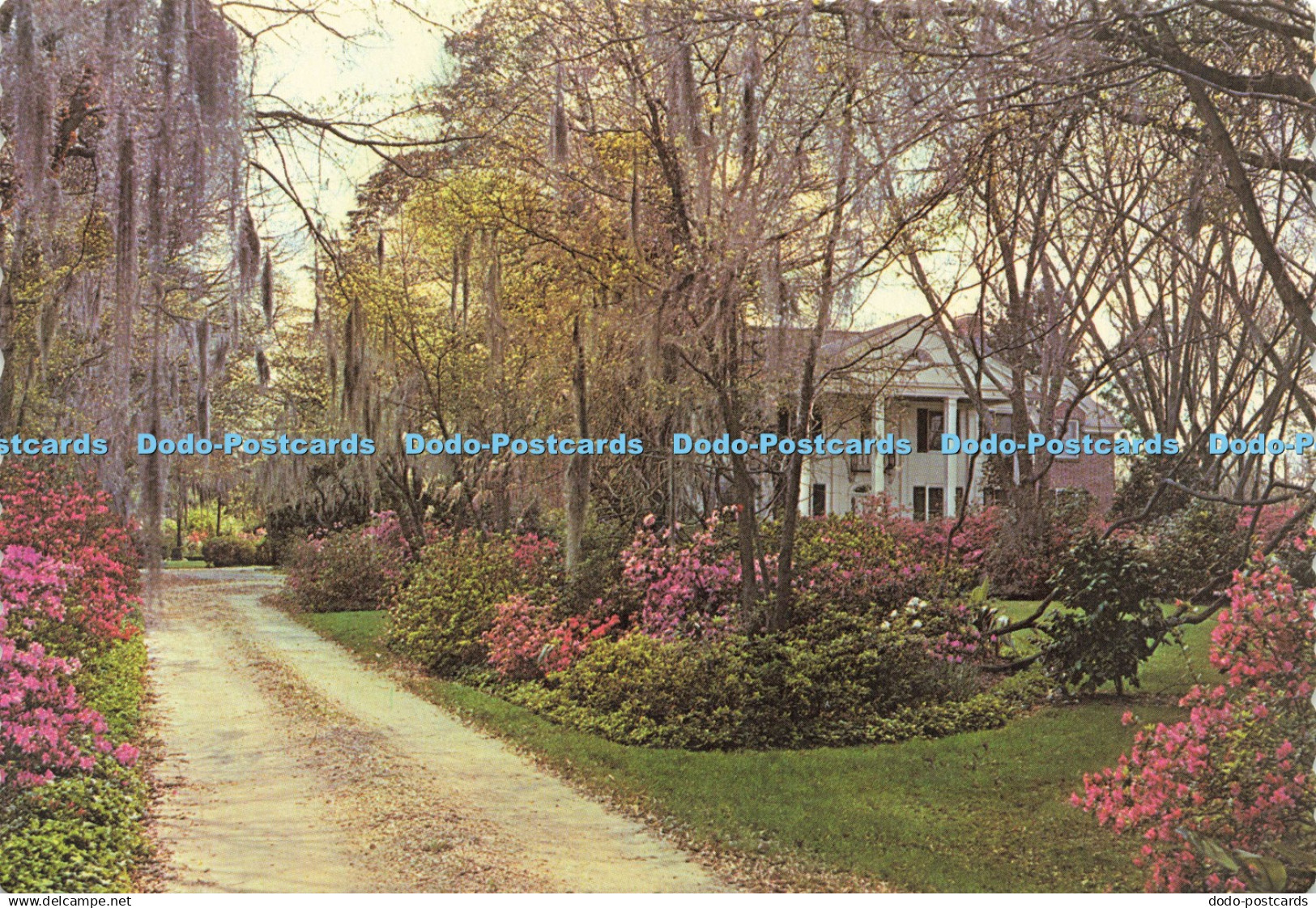 D199620 Florence S C Beautiful Florence Home Photo Arts Ernest Ferguson