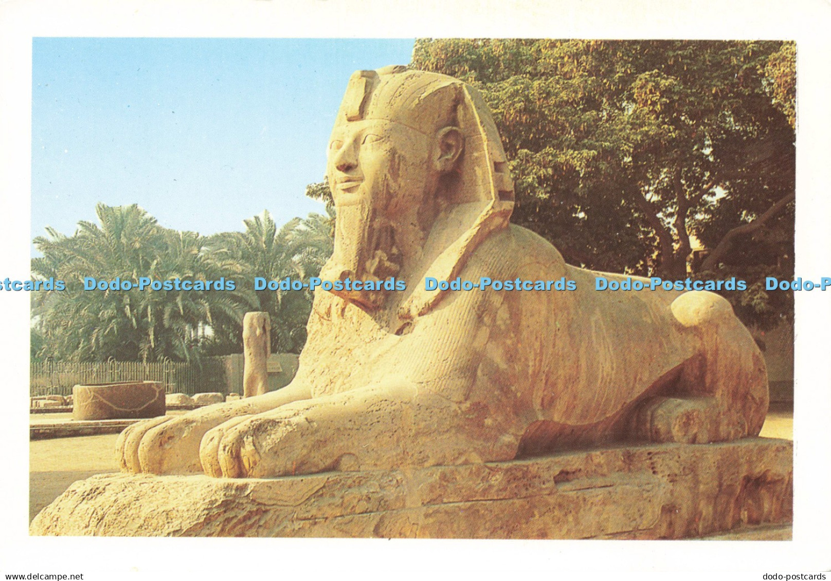 D200084 Memphis Sphinx Status E L Alx