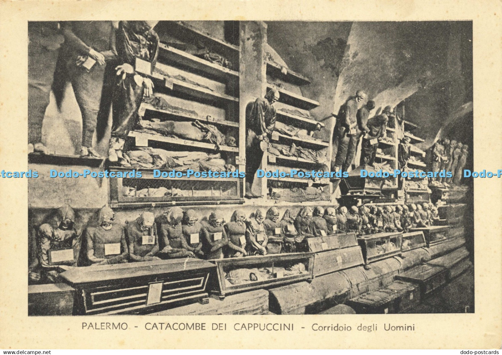 D200267 Palermo Catacombe dei Cappuccini Corridoio degli Uomini
