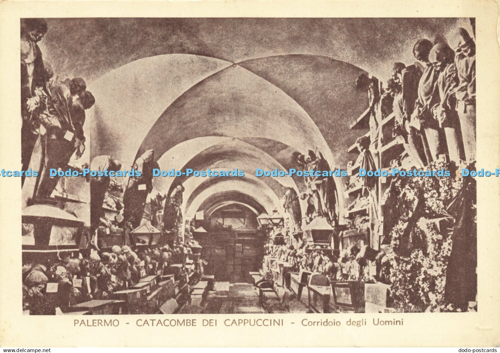 D200269 Palermo Catacombe dei Cappuccini Corridoio degli Uomini