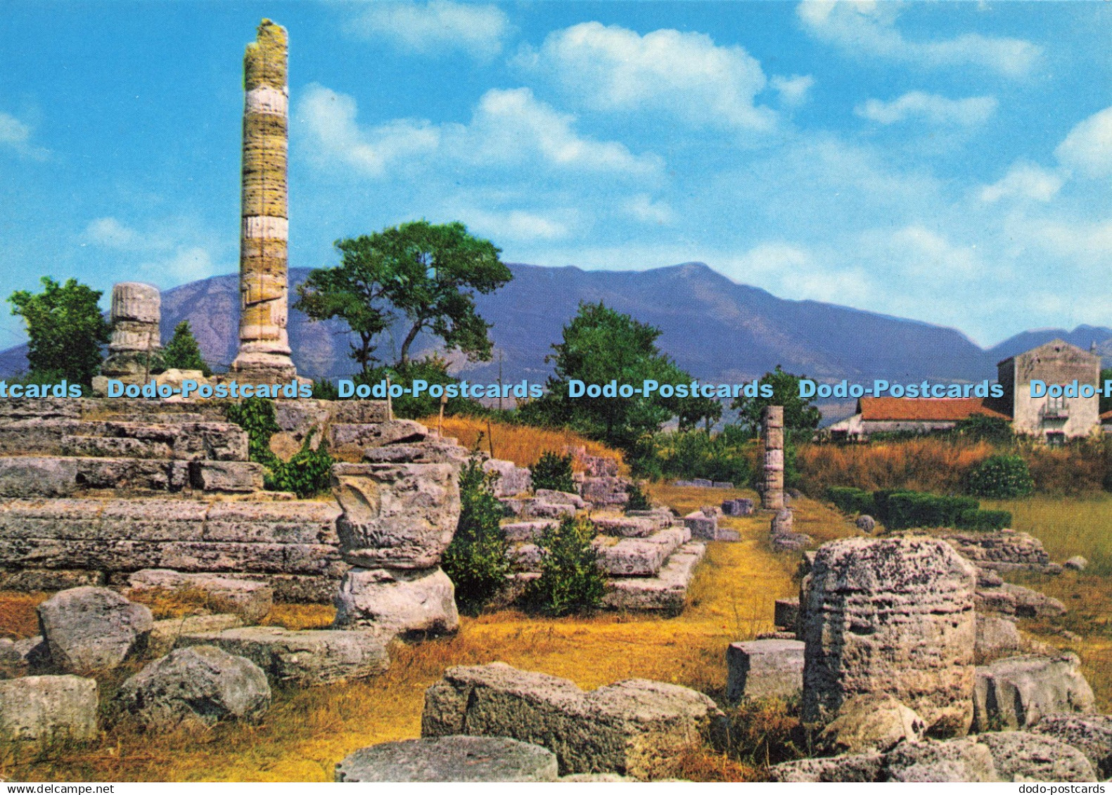 D200298 Paestum Italic Tempe in the Forum Fotorapidacolor Kodak Ektachrome