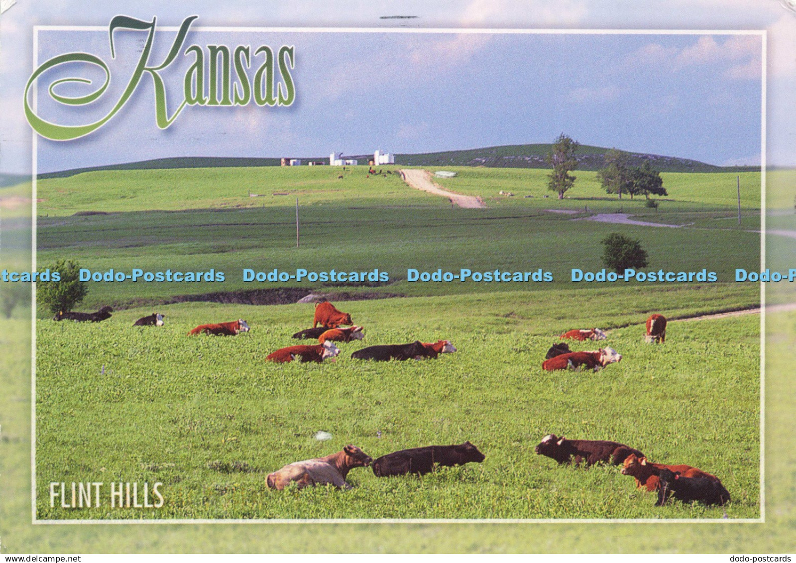 D200812 Kansas Flint Hills John Avery 2003