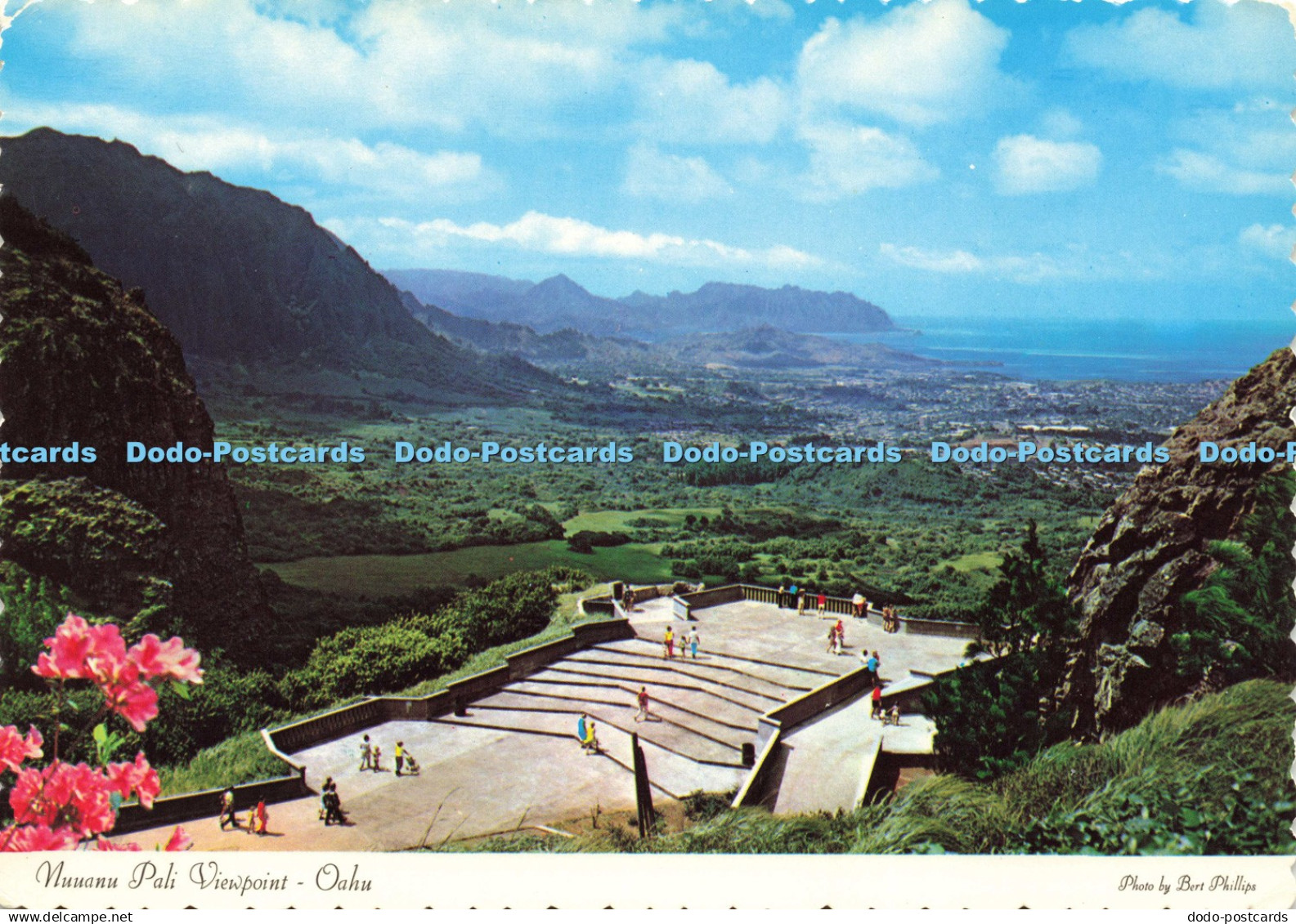 D201422 Oahu Nuuanu Pali Viewpoint W W Distributors Dexter Press Bert Phillips