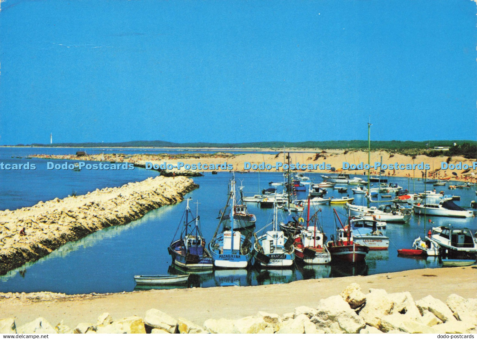 D201551 La Palmyre Les Mathes Ch Mme Le Port Artaud Freres 1982