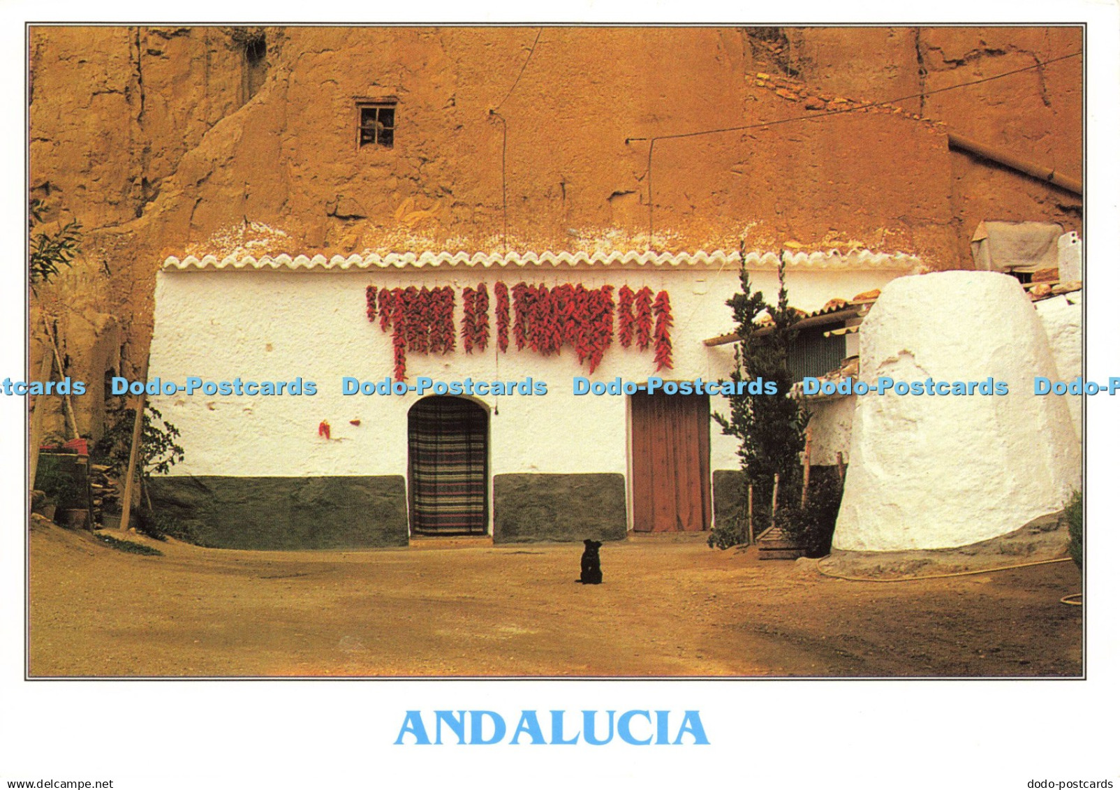 D202307 Andalucia Tintore Emilio Tintore