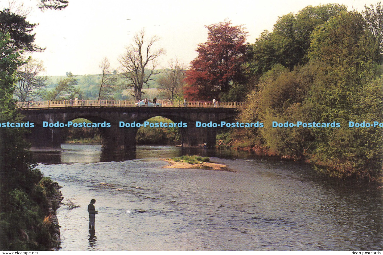 D202463 Worcestershire Tenbury Wells Carefree Coasters