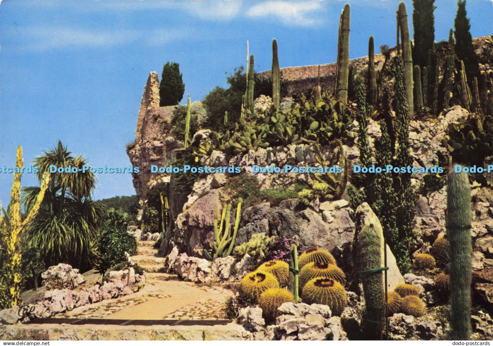 D204673 Eze Village A M Un Coin Du Jardin Exotique C A P
