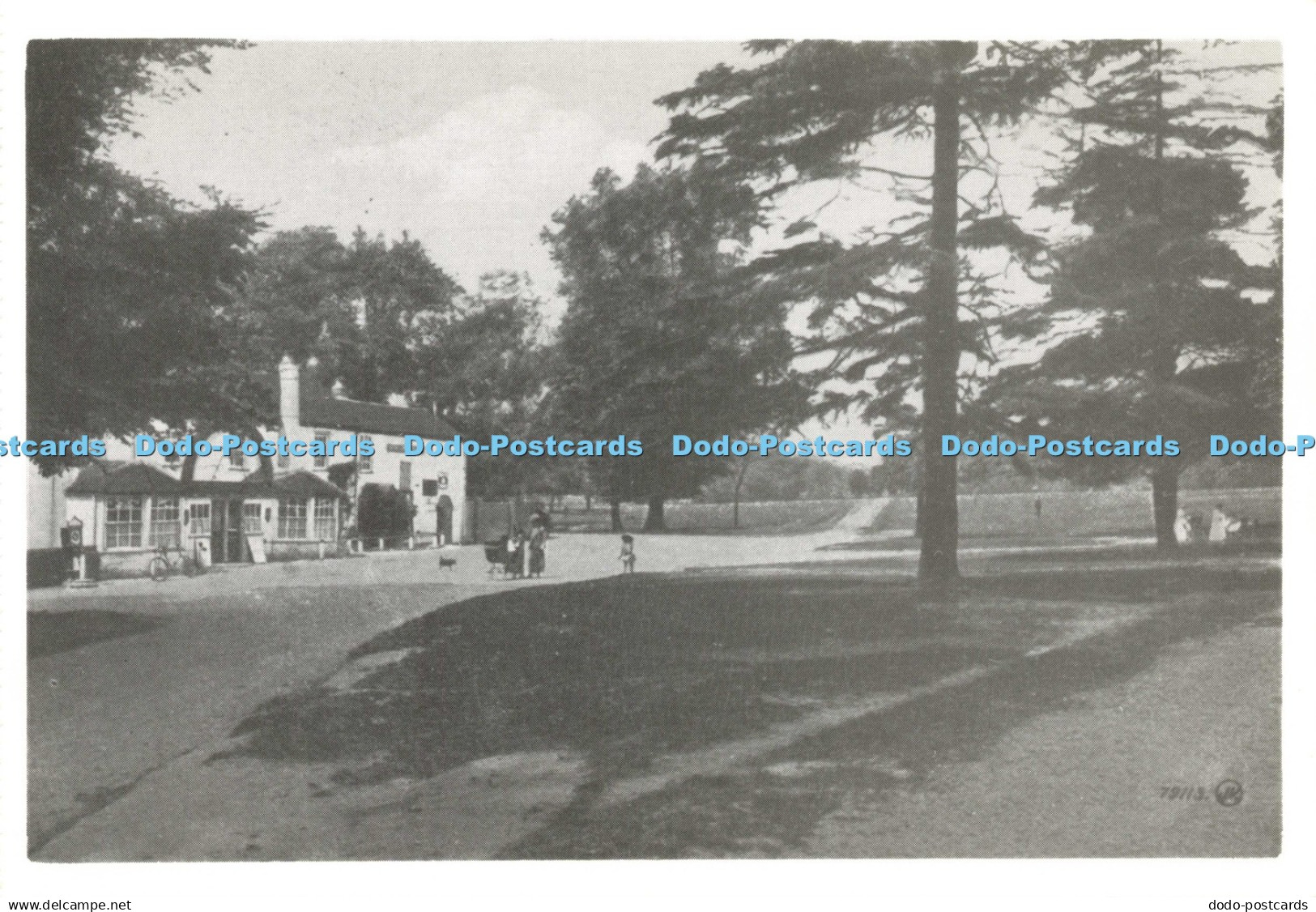 D204927 Southampton The Common Nostalgia Ink Postcards of Old Southampton