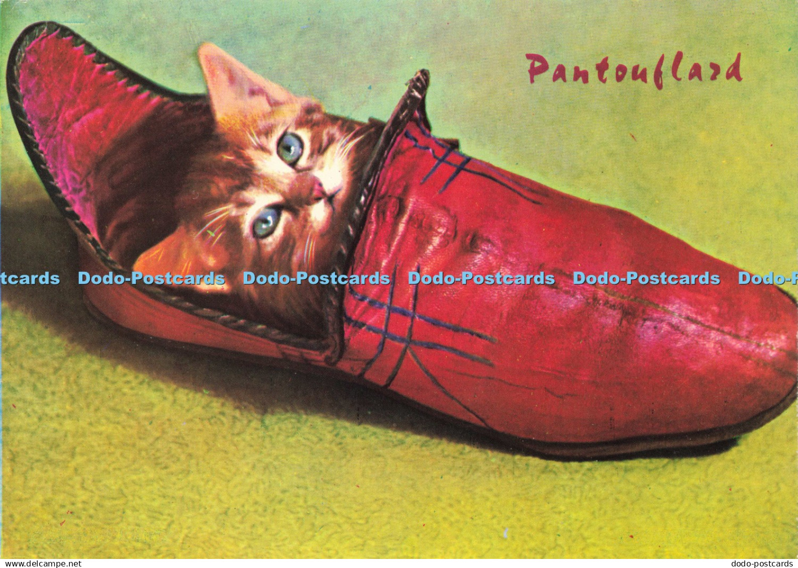 D205670 Pantouflard Irex Herve Donnezan