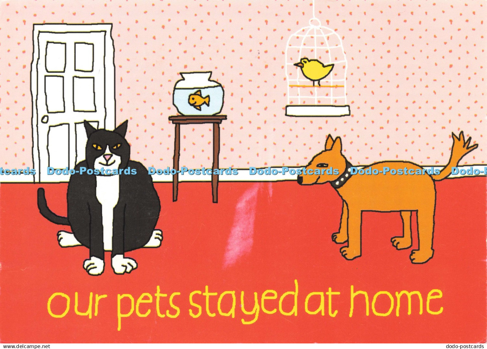 D206165 Our Pet Stayed at Home Aiken Graphics