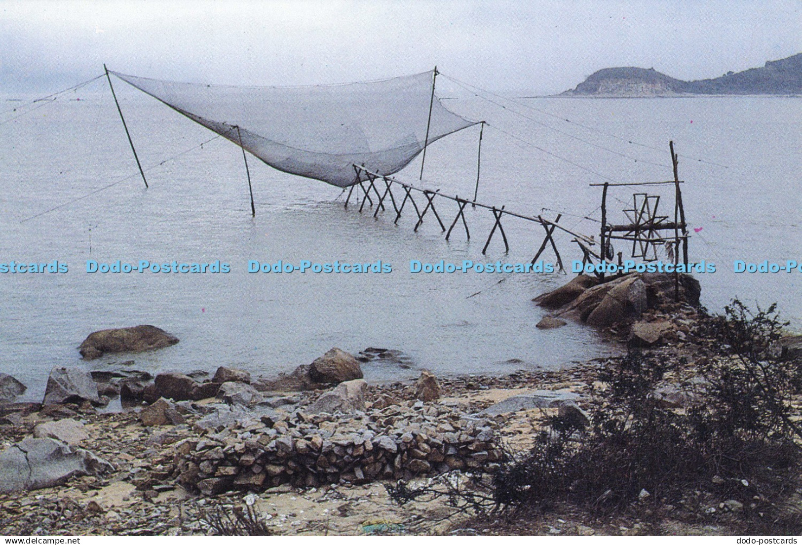 D206250 China Future Pot Card China