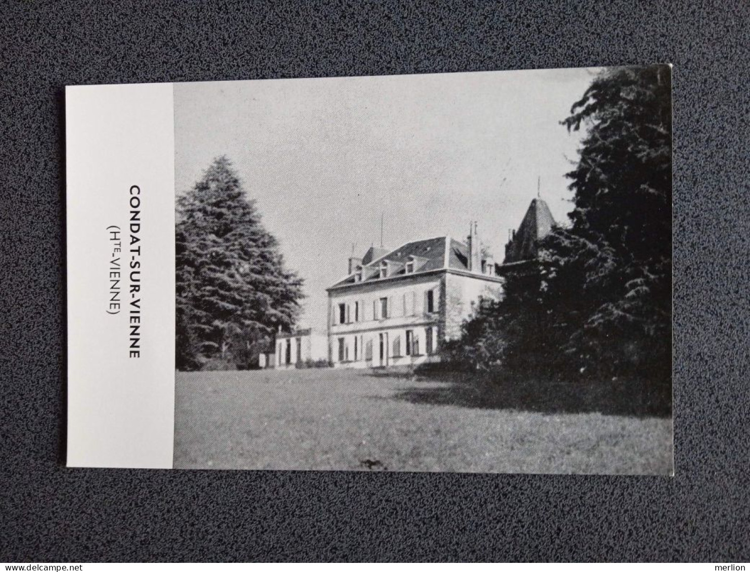 D209174 CPSM  Le bourg de Condat-sur-Vienne et le château de Chez-le-Rat