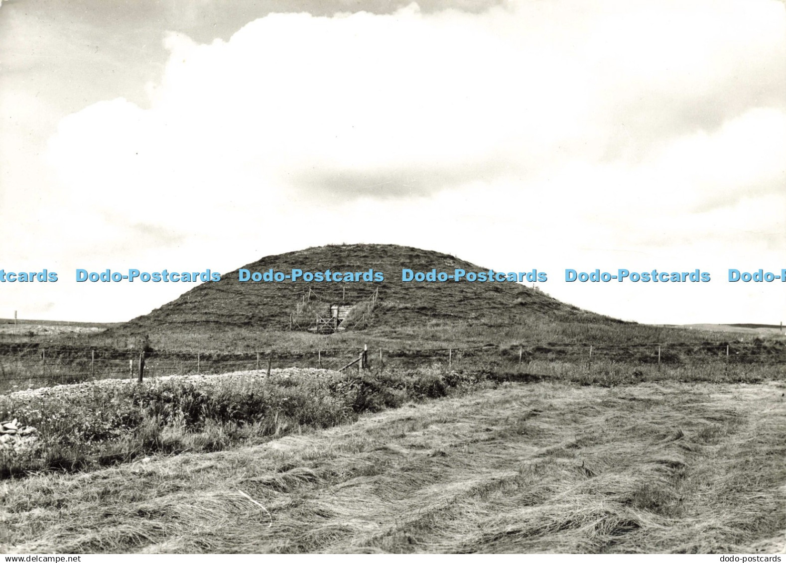 D209301 Orkney Mainland Maeshowe Crown