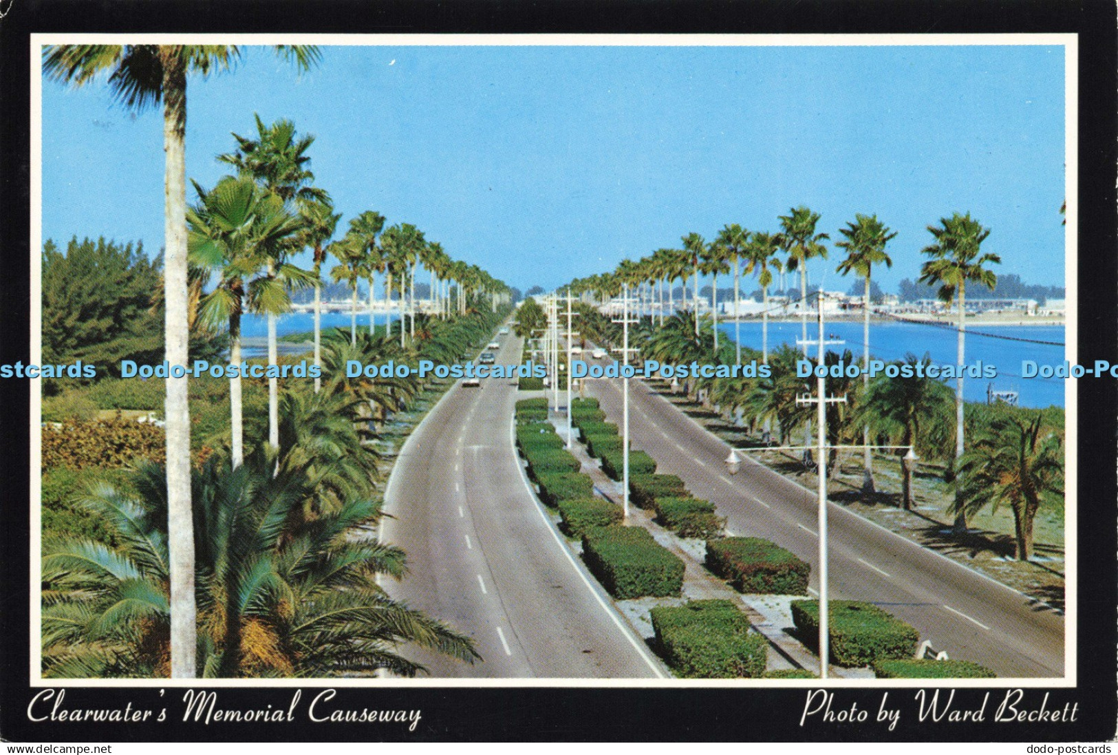 D209352 Clearwater Memorial Causeway Tom Brown Card Ward Beckett 1986