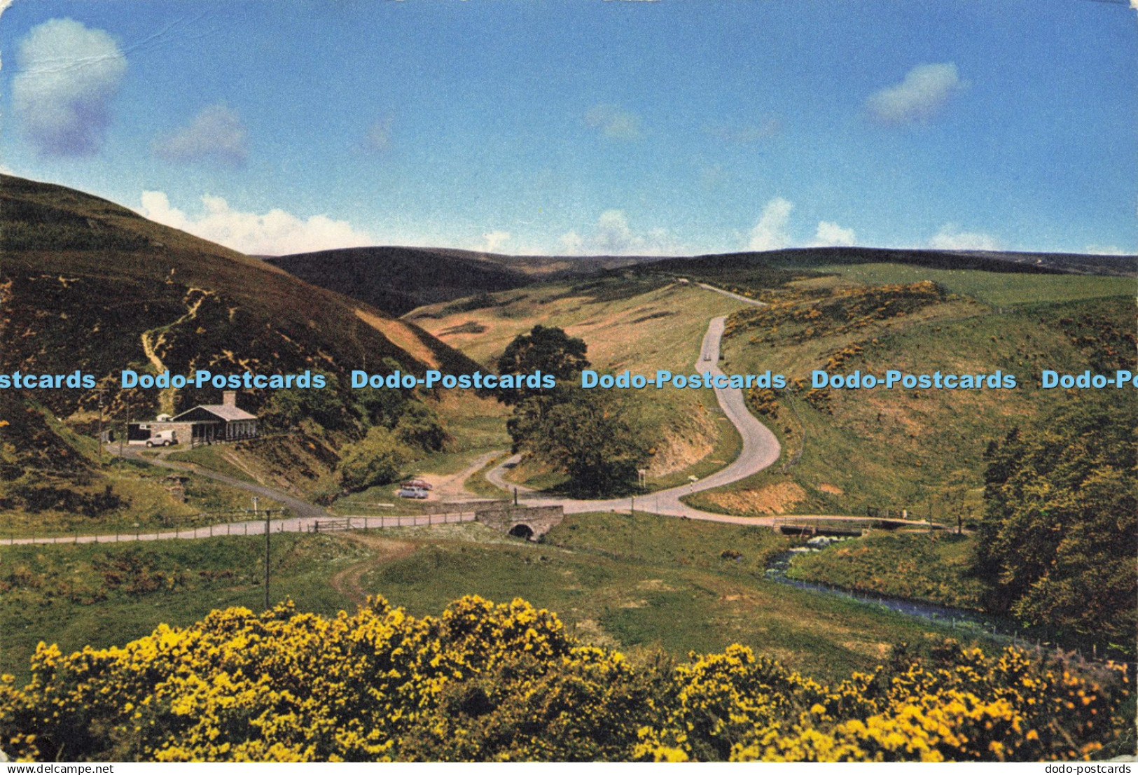 D209847 Kincardineshire Clatterin Brig and Cairn O Mount J Arthur Dixon D R MacA