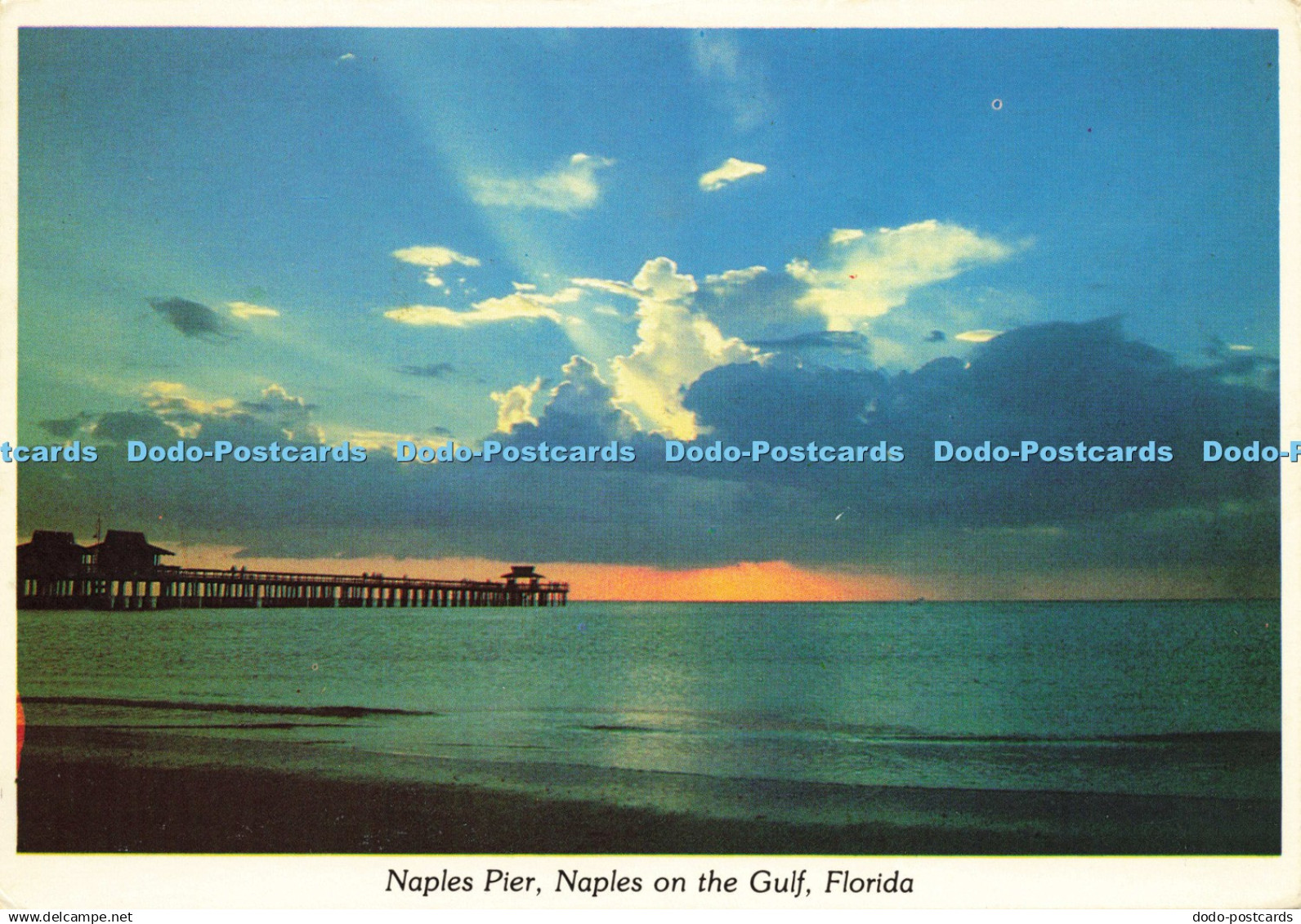 D210588 Florida Naples Pier Naples on the Gulf Plastichrome Gulf Card Kurt Larso