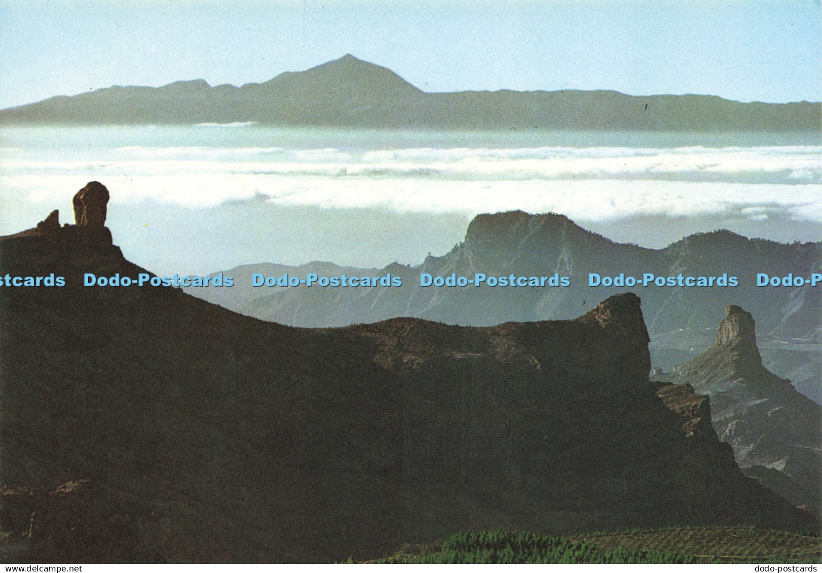 D210678 Gran Canaria Roque Nublo y Bentaiga Cabrera