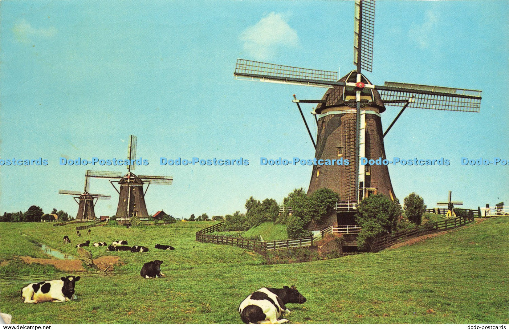 D212344 Holland Leidschendam Undermill of the Stepwise Drainage Mill Euro Color