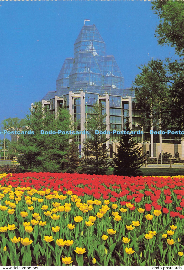 D214496 National Gallery of Canada Musee des Beaux Arts du Canada Postcard Facto