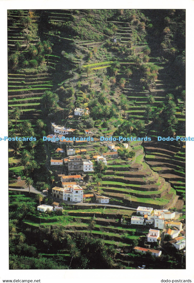 D214570 La Gomera La Vizcaina Valle Gran Rey Andy 2002